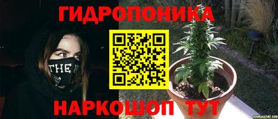 стафф Жуковский