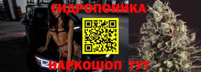 стафф Жуковский