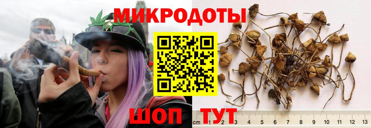 Ярцево  где купить   Вход с VPN  Галлюциногенные грибы MAGIC MUSHROOMS 